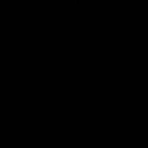 Meet your Posher, Samir